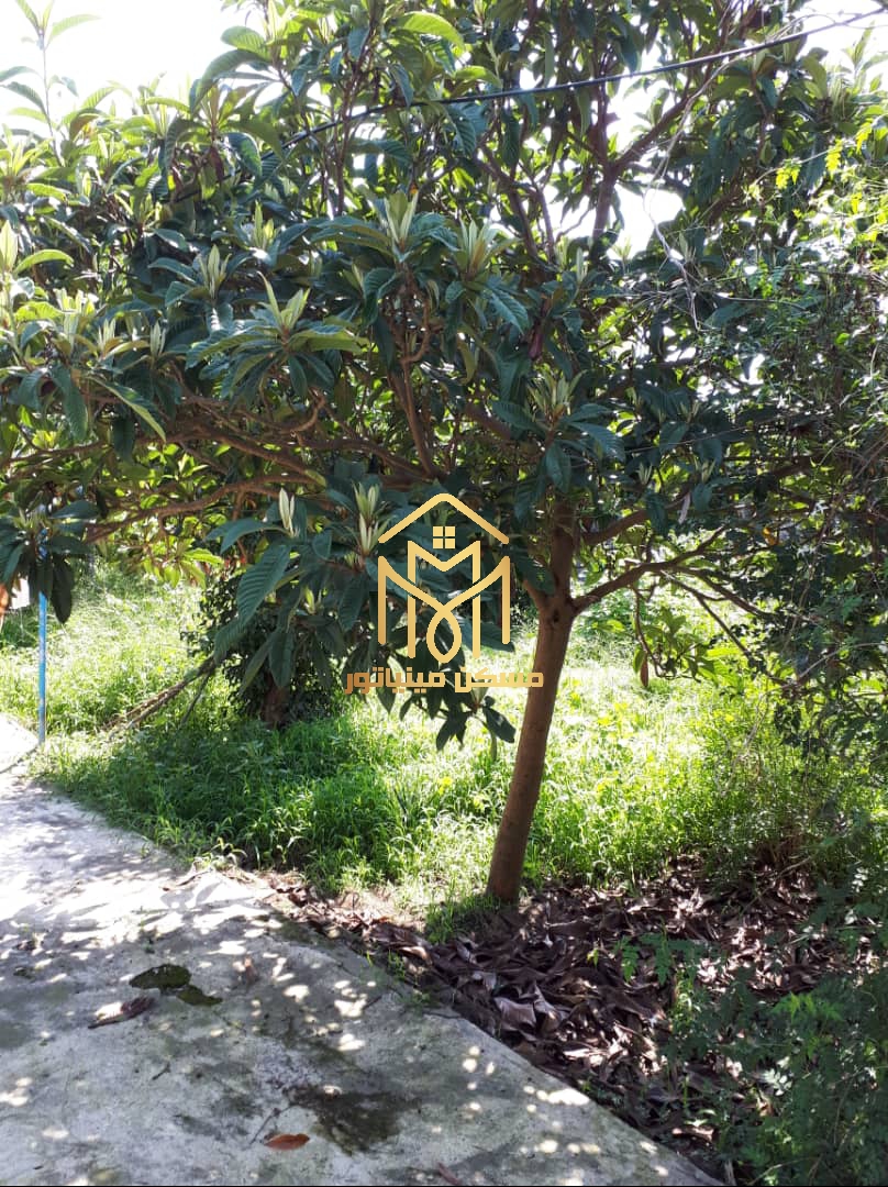 خانه ویلایی